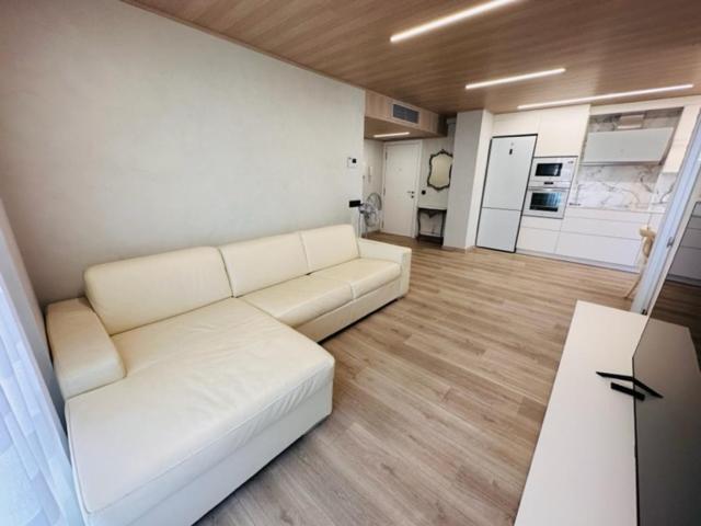 Fantastic Larimar New Apartment サロウ エクステリア 写真